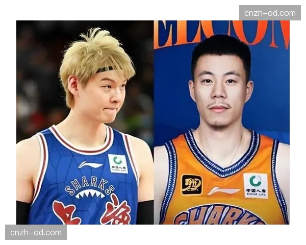 张镇麟加盟上海补强锋线 与王哲林洛夫顿组核心 张镇麟加盟上海补强锋线 与王哲林洛夫顿组核心